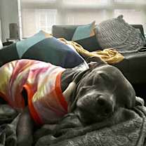 Thumbnail photo of Cora #4