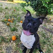Thumbnail photo of Etta #1
