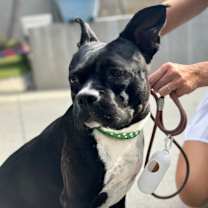 Thumbnail photo of Etta #2