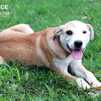 Thumbnail photo of Prince #1