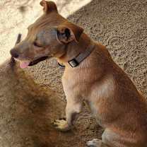 Thumbnail photo of Clyde #3