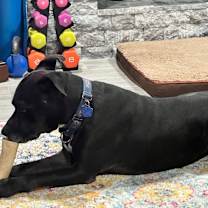 Thumbnail photo of Neo Silly Sweet Kid Friendly Good Boy #4