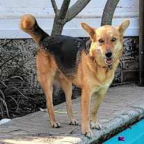 Thumbnail photo of Giovanni #1