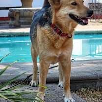 Thumbnail photo of Giovanni #2