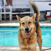 Thumbnail photo of Giovanni #3