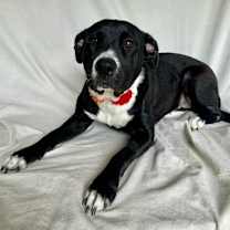 Thumbnail photo of Ethel #3