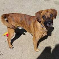 Thumbnail photo of Odin #3