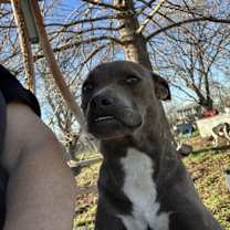 Thumbnail photo of Maisy #2