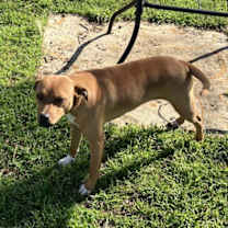 Thumbnail photo of Lola #2