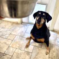 Thumbnail photo of Tilly #2