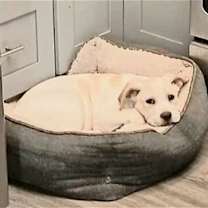 Thumbnail photo of Denim #4