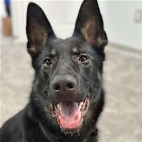 Thumbnail photo of PRIMA (COURTESY POST) #1