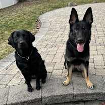 Thumbnail photo of PRIMA (COURTESY POST) #2