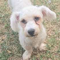 Thumbnail photo of Sammy #3