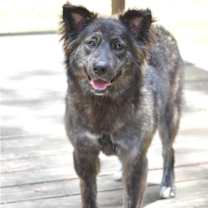 Thumbnail photo of Ursa #2