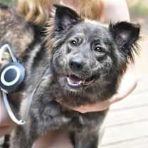 Thumbnail photo of Ursa #4