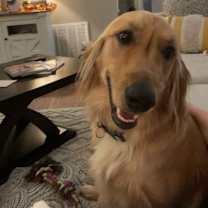 Thumbnail photo of Hank #2