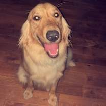 Thumbnail photo of Hank #3