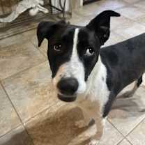 Thumbnail photo of TYFANI #2