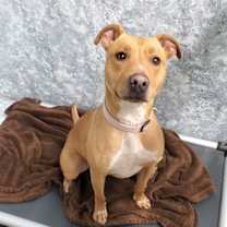 Thumbnail photo of Rusty #2