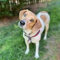 Thumbnail photo of Grace #1