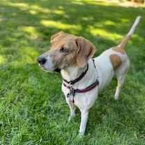 Thumbnail photo of Grace #2