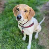 Thumbnail photo of Grace #3