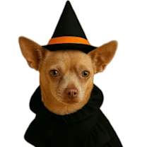 Thumbnail photo of Penny Lee #2