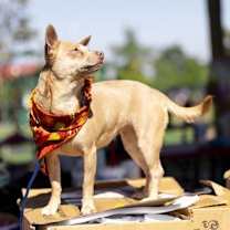 Thumbnail photo of Penny Lee #3