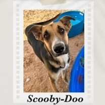 Thumbnail photo of Scooby-Doo #1