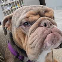 Thumbnail photo of Billy #3