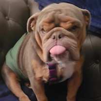 Thumbnail photo of Billy #4