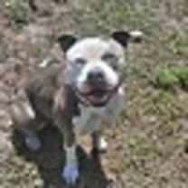 Thumbnail photo of ANGEL #2