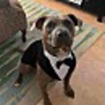 Thumbnail photo of BOOMER #2