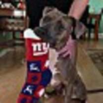 Thumbnail photo of BOOMER #4