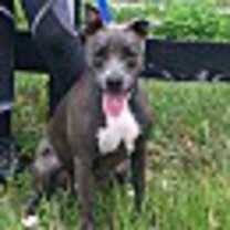 Thumbnail photo of LIZZIE #2