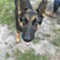 Thumbnail photo of PASTOR #2
