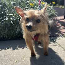 Thumbnail photo of Penny #2