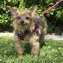 Thumbnail photo of Penny #3