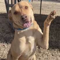 Thumbnail photo of Miz Bizkit #1