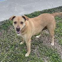 Thumbnail photo of Miz Bizkit #2