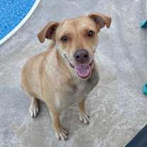 Thumbnail photo of Miz Bizkit #3