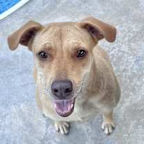 Thumbnail photo of Miz Bizkit #4