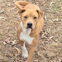 Thumbnail photo of Jack #2