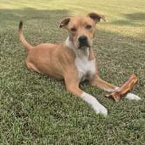 Thumbnail photo of Jack #1