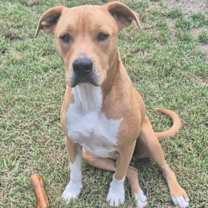 Thumbnail photo of Jack #3