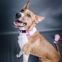 Thumbnail photo of Diane #2
