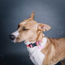 Thumbnail photo of Diane #4