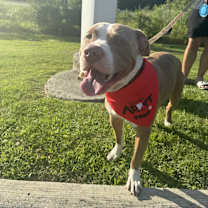 Thumbnail photo of Bubba #1