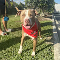 Thumbnail photo of Bubba #2